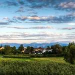 Alpenblick 1 Bodolz